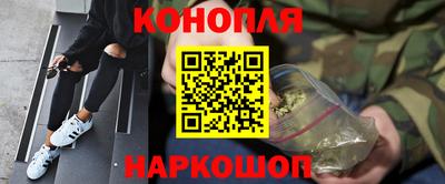 сатива Лесосибирск