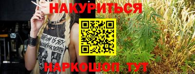 сатива Лесосибирск
