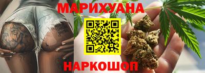 сатива Лесосибирск