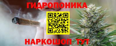 сатива Лесосибирск
