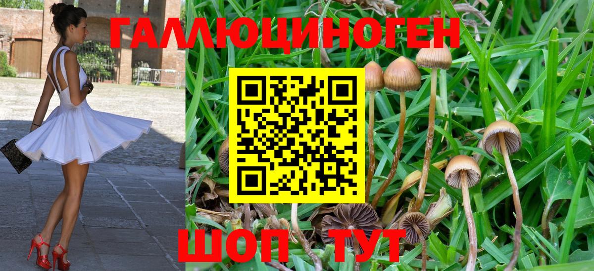 купить   Галлюциногенные грибы ЛСД  Псилоцибиновые грибы Psilocybine cubensis  Вход с VPN  Дербент 